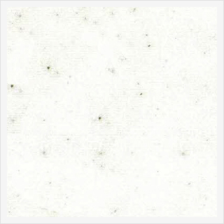 EPDW パウダーホワイト