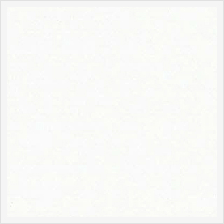 EPPW ピュアホワイト