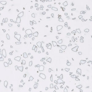 STARON_QUARRY_QD212_Mosaic-Dalmatian