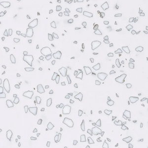 STARON_QUARRY_QD212_Mosaic-Dalmatian